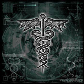 Panacea (USA) : Kamikaze Bullfight